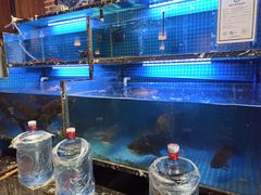水产区-姜君·千岛湖鱼头馆(浦东大道店)