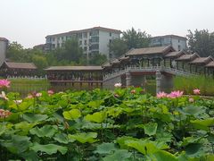 -西海子公园