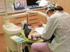 -思诺口腔(牛市口店)