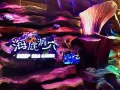 -青岛嘉年华主题乐园