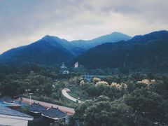 -若水农家乐