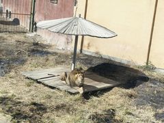 -新疆天山野生动物园