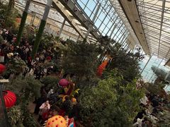 -沈阳植物园