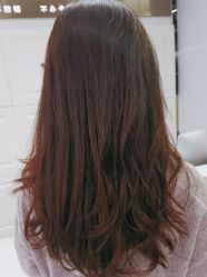 -镁连社·美联社