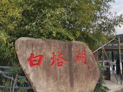 -白塔湖国家湿地公园