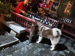 -故事小酒馆