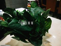 -万和源炝锅城·活鱼现炝(文艺北路店)