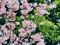-乌山风景区