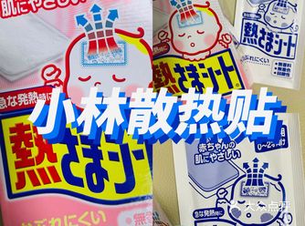 家庭必备小林制药散热贴