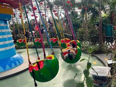 -南宫五洲植物乐园