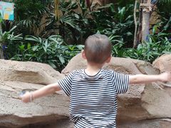 -杭州开元森泊度假乐园