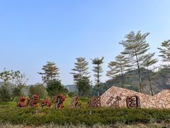 -水濂山森林公园