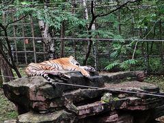 -哈尔滨北方森林动物园