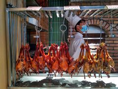 -鸽子侯·家宴·平价海鲜(市图书馆店)