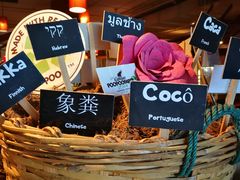 -尚泰清迈机场购物中心