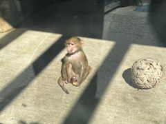 -大连森林动物园