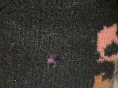 -春竹·微奥莱(北京西路店)