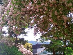 -国家植物园南园