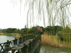 -尚贤河湿地