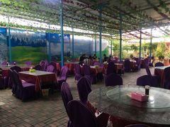 大堂-马白开来特色羊排揪片子  (总店)