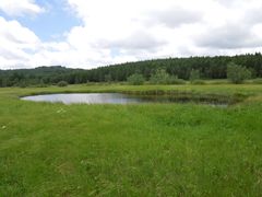 -塞罕坝国家级自然保护区