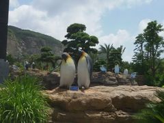 -广东省拱北口岸中国旅行社(华宾营业部)