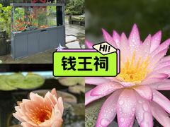 -钱王祠