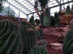 景点-南通洲际绿博园