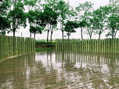 -春花秋色城市公园