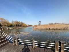 -太湖湖滨国家湿地公园-停车场