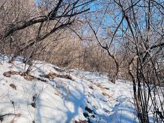 -北京西山国家森林公园