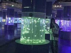 -重庆欢乐海底世界