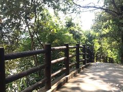 -羚羊峡古栈道森林公园