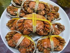 -喜洋洋蟹庄(阳澄湖店)