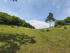 -玉泉威虎山森林公园