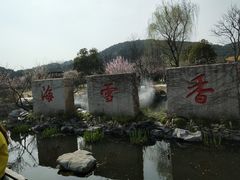 -香雪海