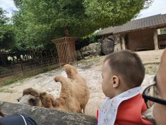 -南昌动物园