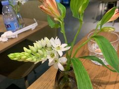 -gaga(深圳南山益田假日广场店)