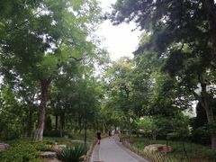 -金宫殿故址