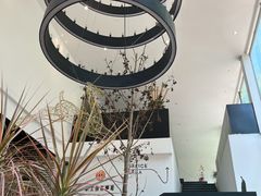-桉树林A coffee 森林餐厅(三圣乡店)