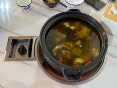 -蘑统田下·野生菌火锅