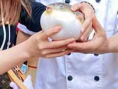 -长顺河豚馆(江洲东路)