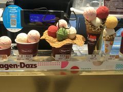 -哈根达斯(西安北郊店)
