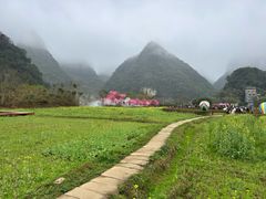 -靖西鹅泉风景区
