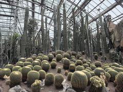 -南山植物园
