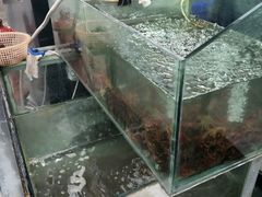 -张师傅烧烤(CBD店)