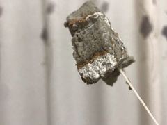 乌漆麻黑喷香芝麻卷-SKROLL卡特司库·蛋糕定制·生吐司·司康(古北程家桥店)