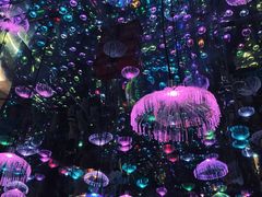 -梵高星空艺术馆(北京旗舰店)