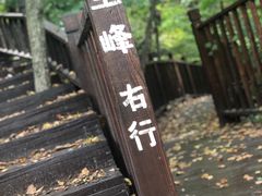 -天女山森林公园