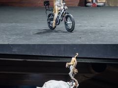 -汕头蓝水星欢乐世界